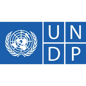 undp.png