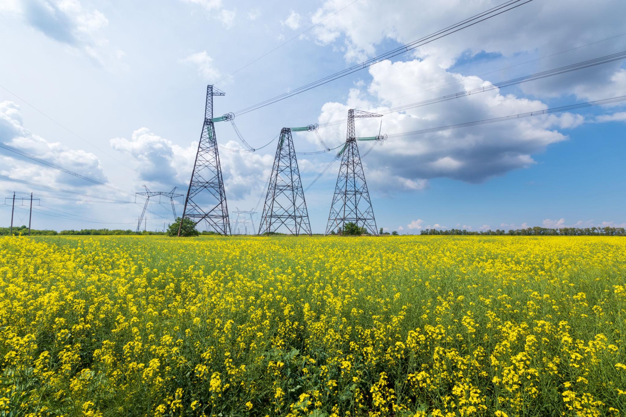 Third Party Monitoring for Ukraine Emergency Recovery Framework Projects